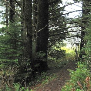 Manzanita-Oregon-Coast-16