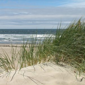 Manzanita-Oregon-Coast-23