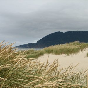 Manzanita-Oregon-Beach-19