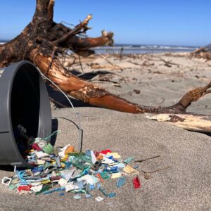 Ocean-Steward-Manzanita